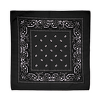 Square Paisley Bandana