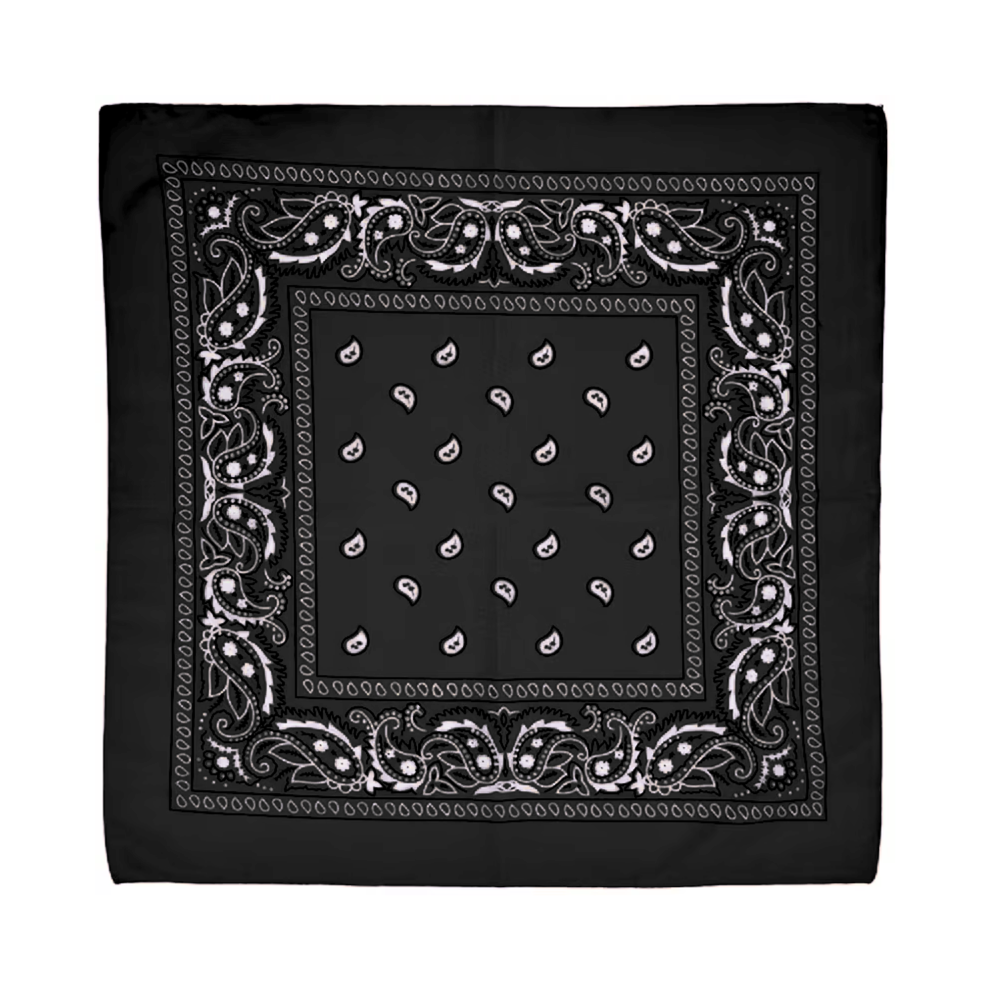 Square Paisley Bandana