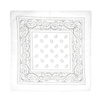 Square Paisley Bandana