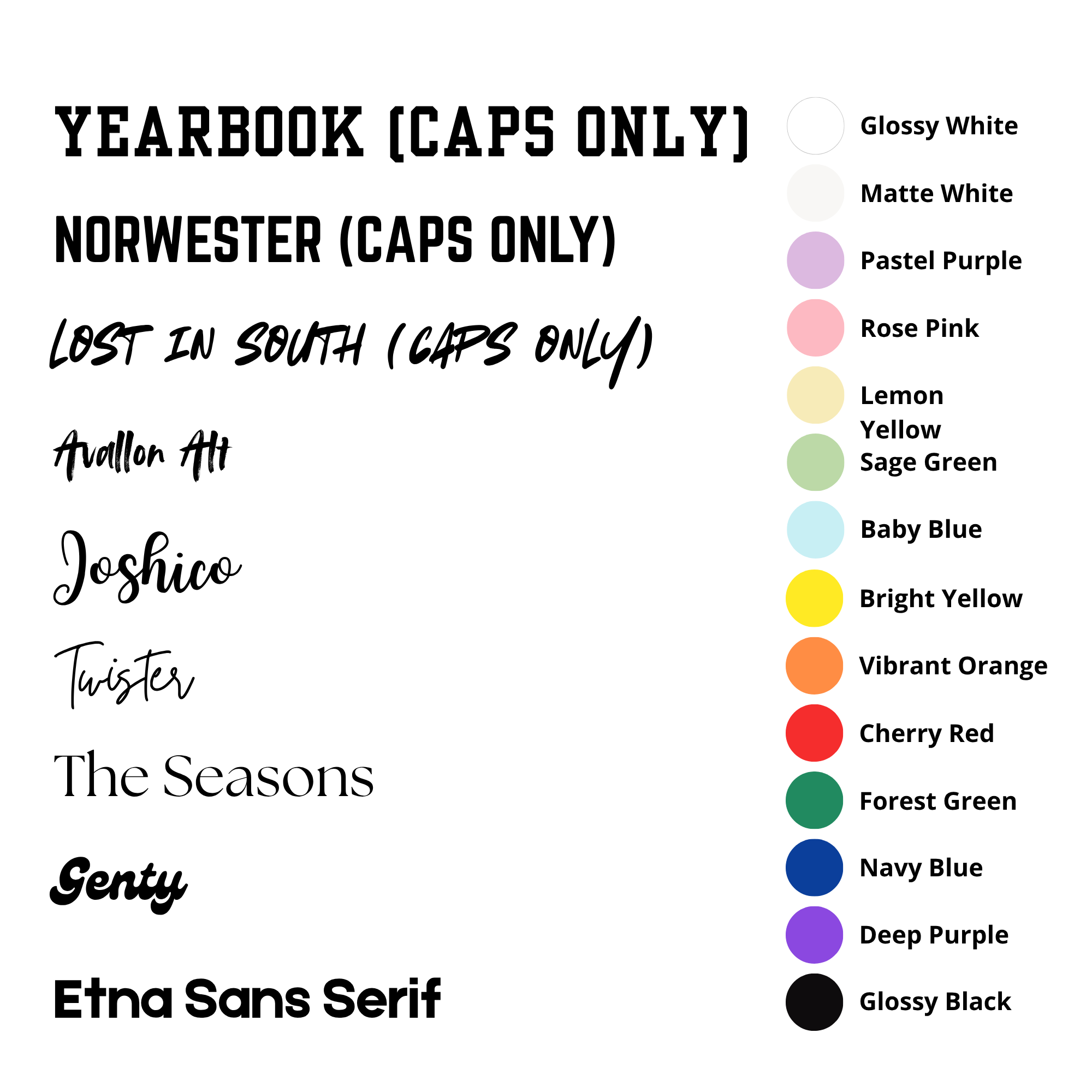 Camp Counselor Essentials Bundle