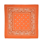 Square Paisley Bandana