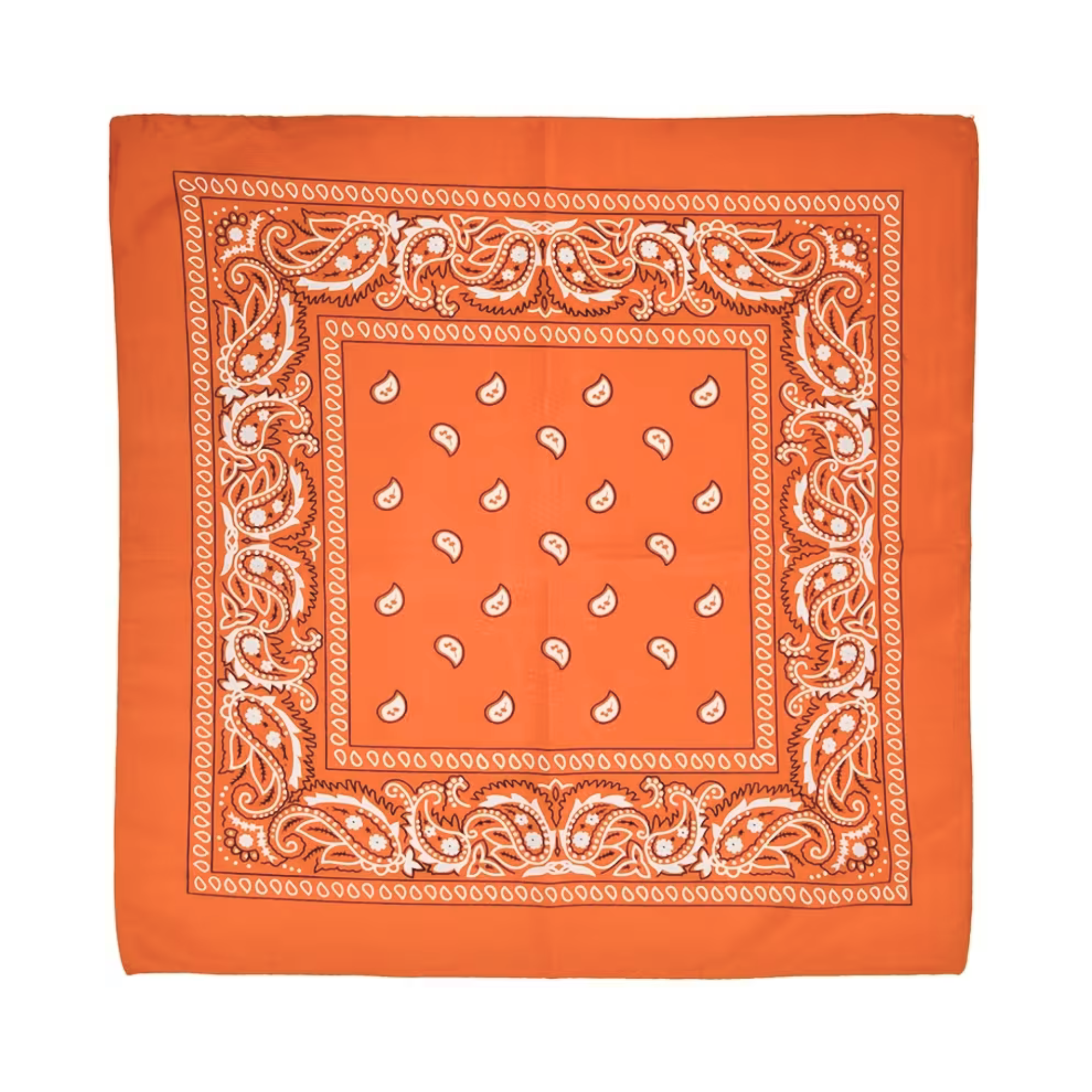 Square Paisley Bandana