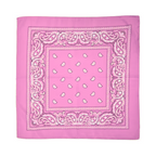 Square Paisley Bandana