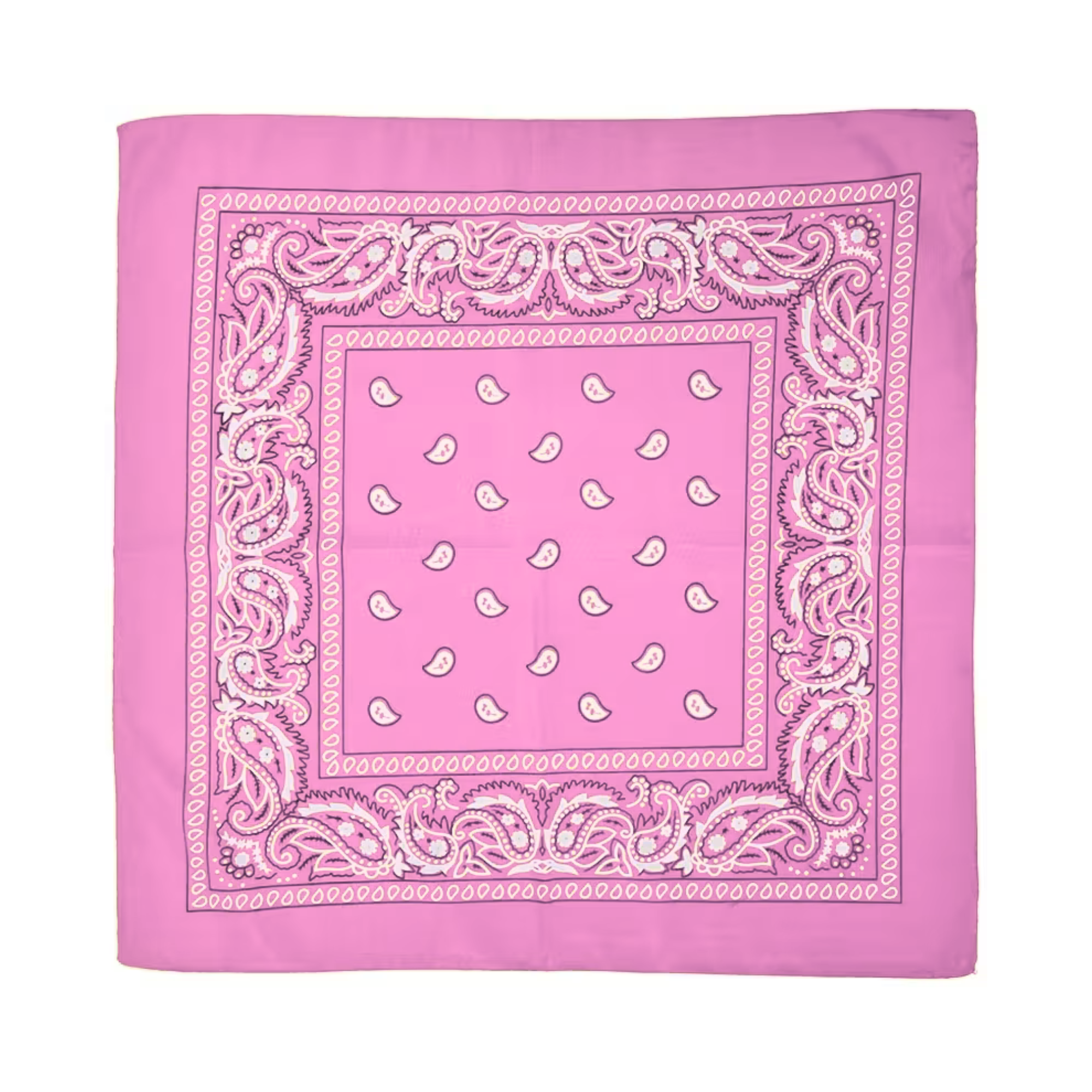 Square Paisley Bandana