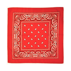 Square Paisley Bandana