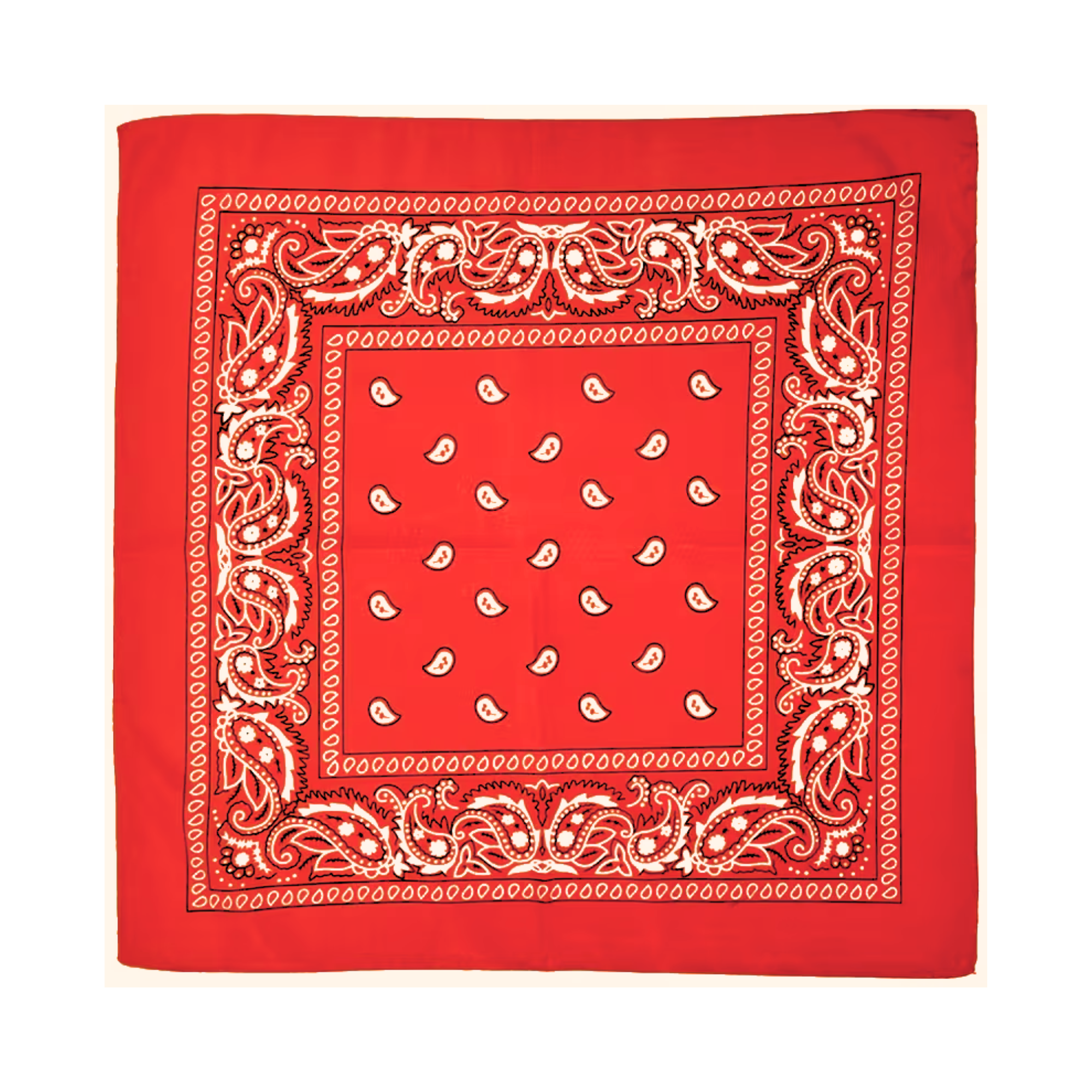 Square Paisley Bandana