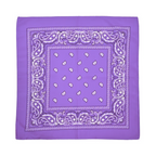 Square Paisley Bandana