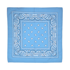 Square Paisley Bandana