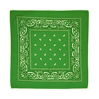 Square Paisley Bandana