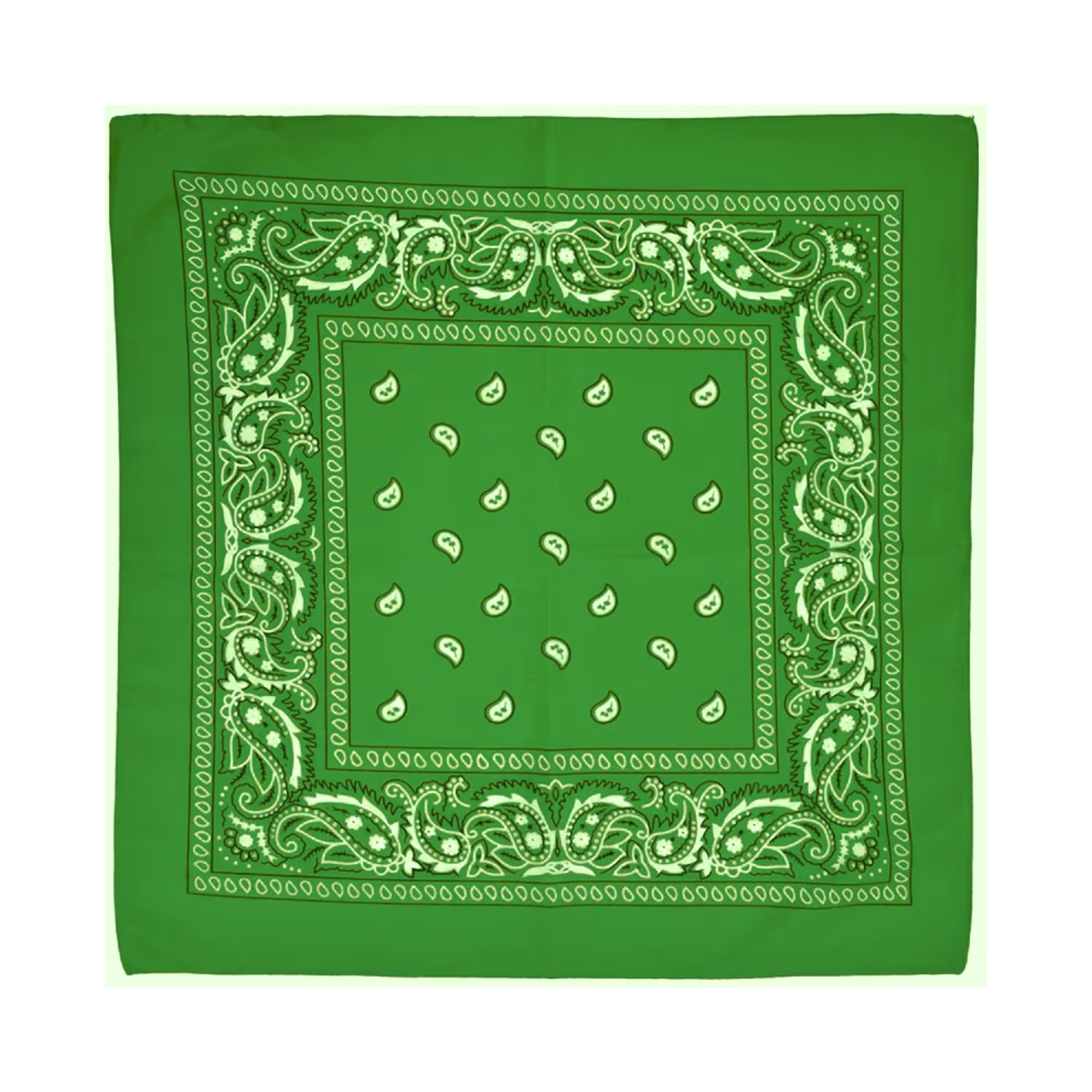 Square Paisley Bandana