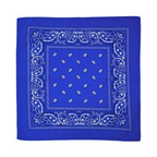 Square Paisley Bandana