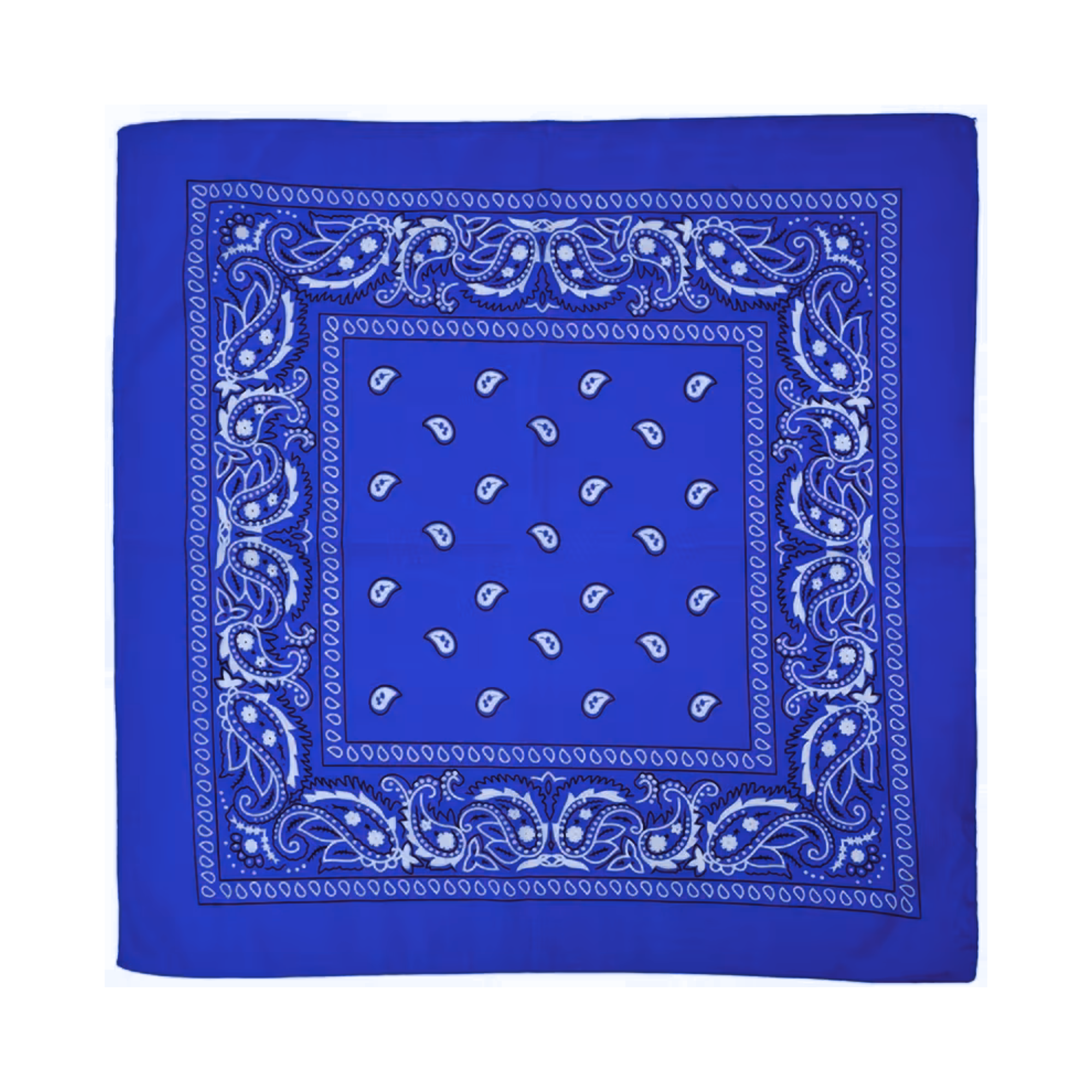 Square Paisley Bandana