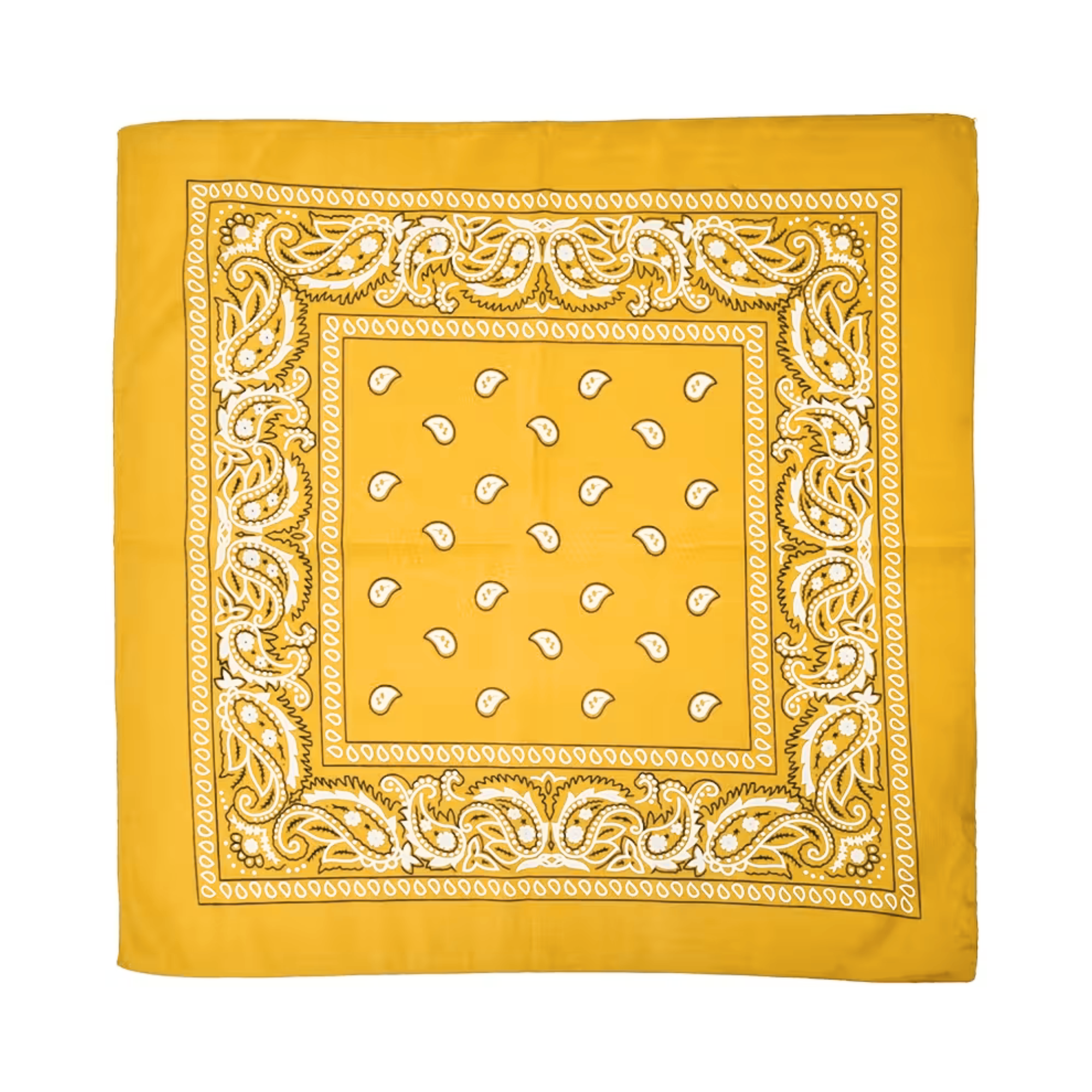 Square Paisley Bandana
